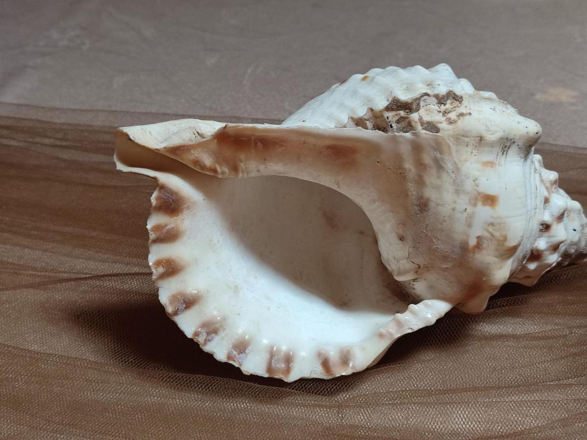 Affittacamere Shardana Càbras 外观 照片